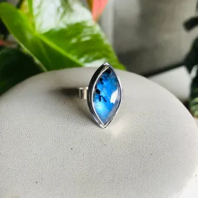 Marquise black tourmilated rainbow moonstone ring